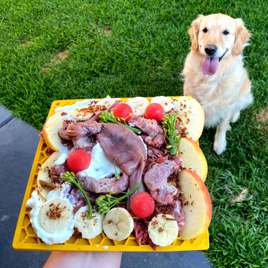 pooch with Soda Pup lickmat