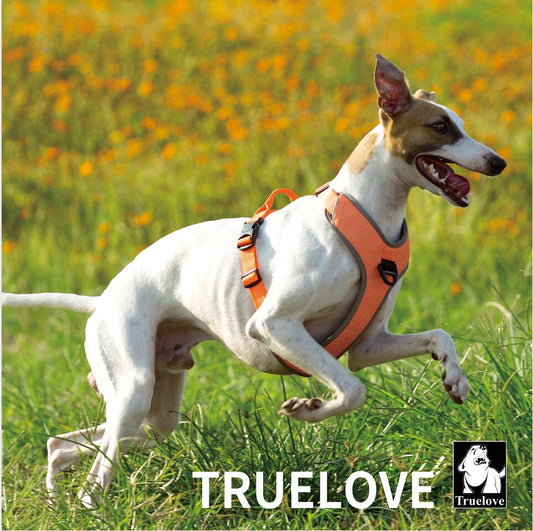 truelove pet dog with harness