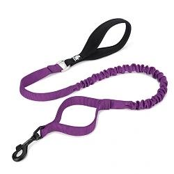 Truelove bungee dog leash