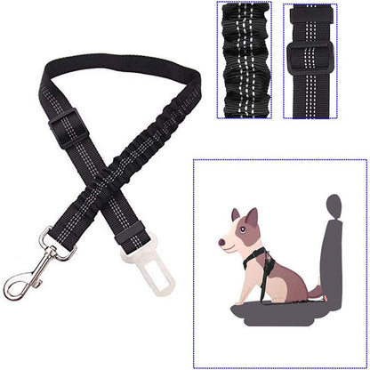 seatbelt pet lead