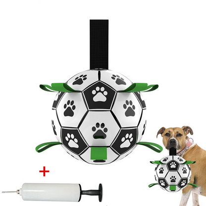 zigzag pets soccer ball with tags and pump