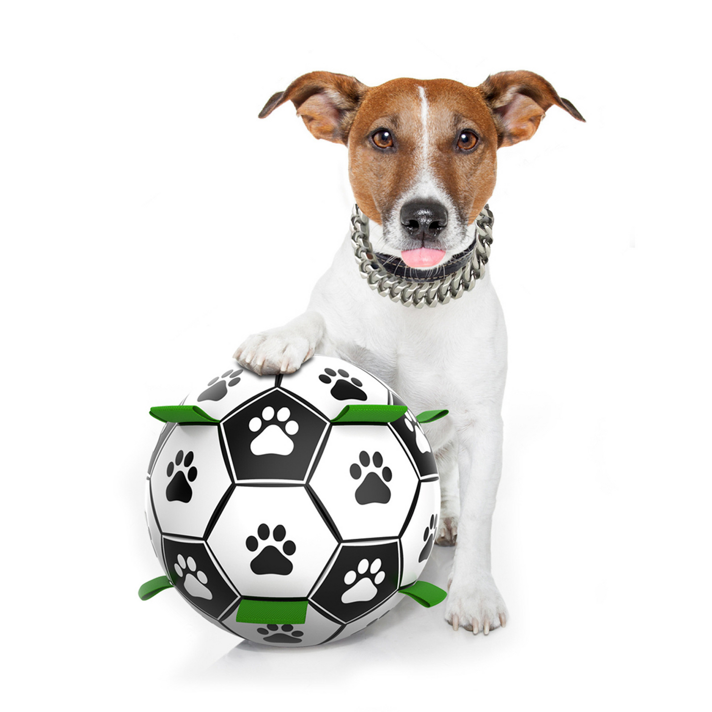 zigzag pets soccer ball with tags