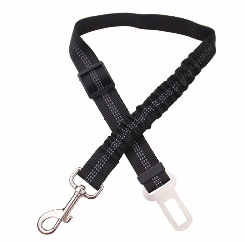 Seatbelt lead black