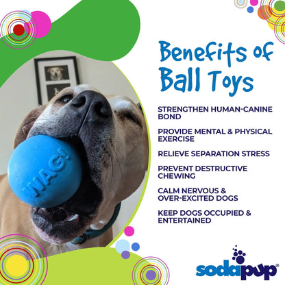 sodapup wag ball toy