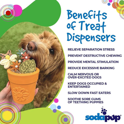 sodapup flower pot