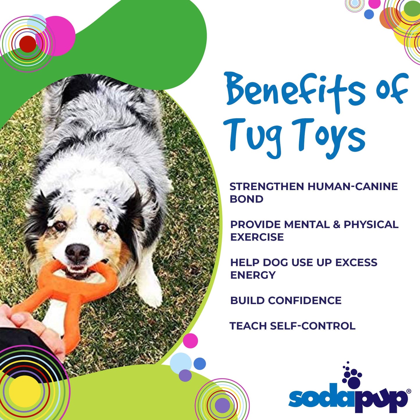 Sodapup Tug toy