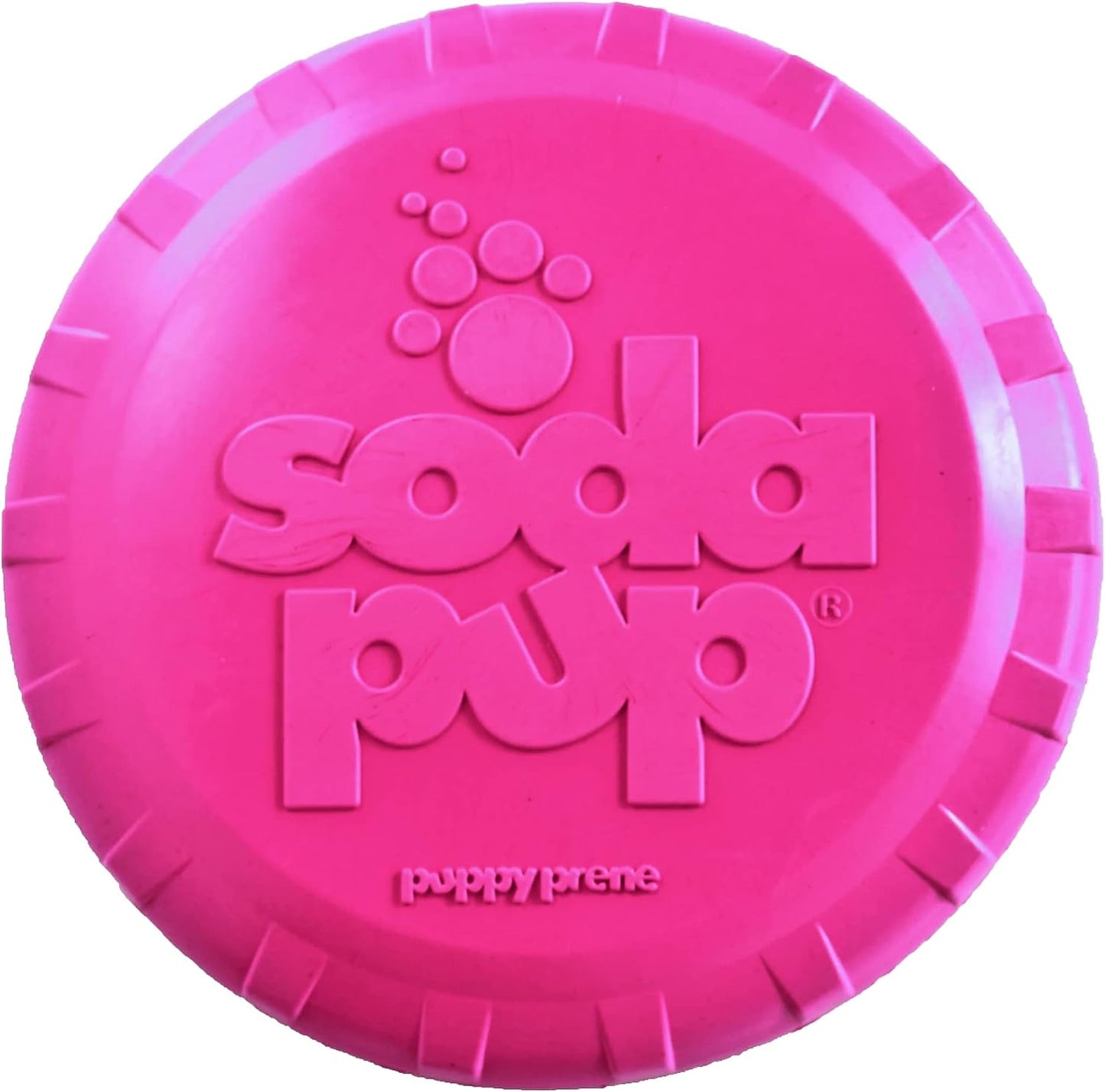 sodapup puppy frisbee