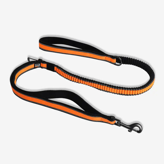 Pawfit multi use dog leash