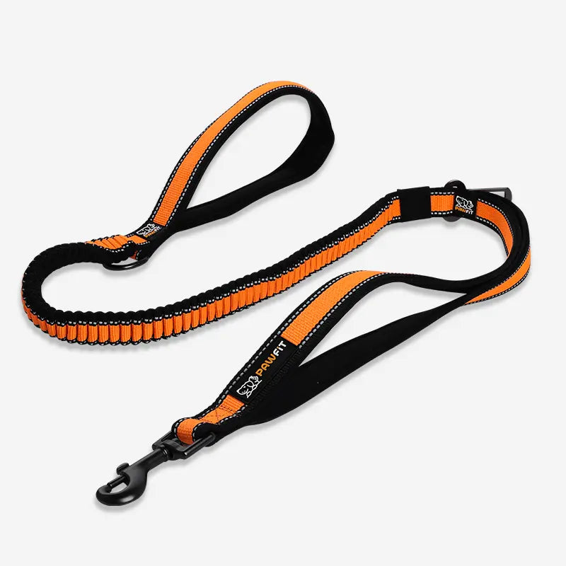 Pawfit multi use dog leash