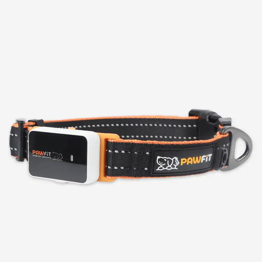 Pawfit Collar for Series 3 GPS Tracker