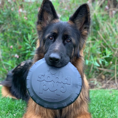 magnum bottle top flyer with dog