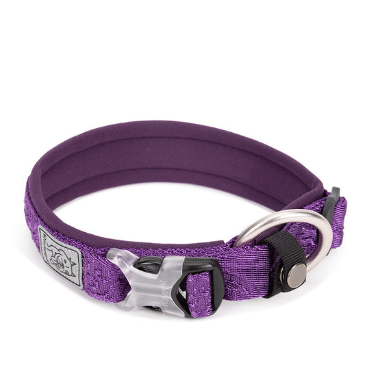 dog collar purple