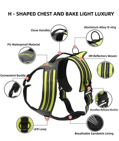 Truelove Sports No-Pull Harness