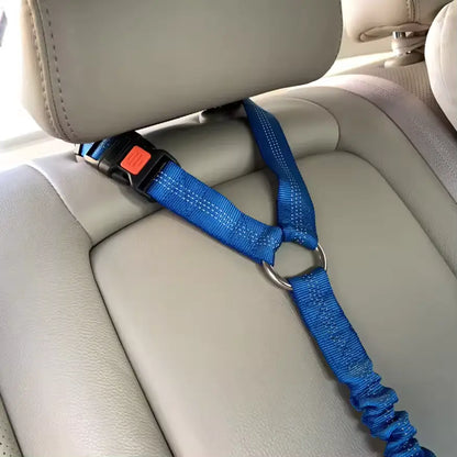 seatbelt leash