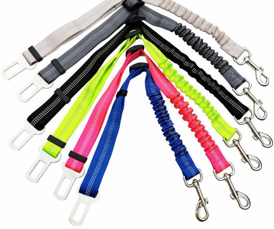 Seatbelt leads in mulitple colours