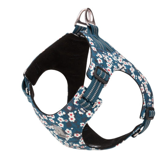 Truelove Saxony Blue harness