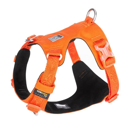 truelove lightweight harness